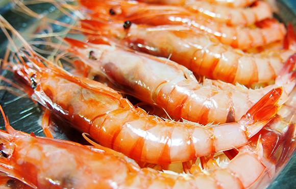 Vente de crevettes